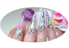 Step by Step Blooms