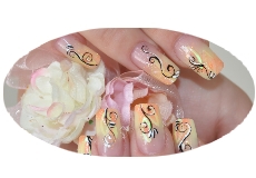 Step-by-Step Apricot