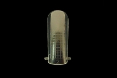 Dual System