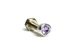 Stecker flieder