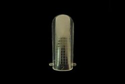 Nailista Dual System Forms - 10 St�ck