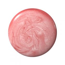 Nailista Premium Farbgel 009 - 5ml
