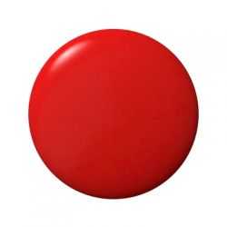 Nailista Premium Farbgel 1011 - 5ml