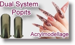 Dual System - Popits