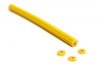 Daisys - yellow