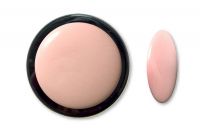 Nailista Platinum Farb Acryl - 01