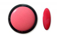 Nailista Platinum Farb Acryl - 05