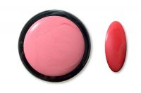 Nailista Platinum Farb Acryl - 04